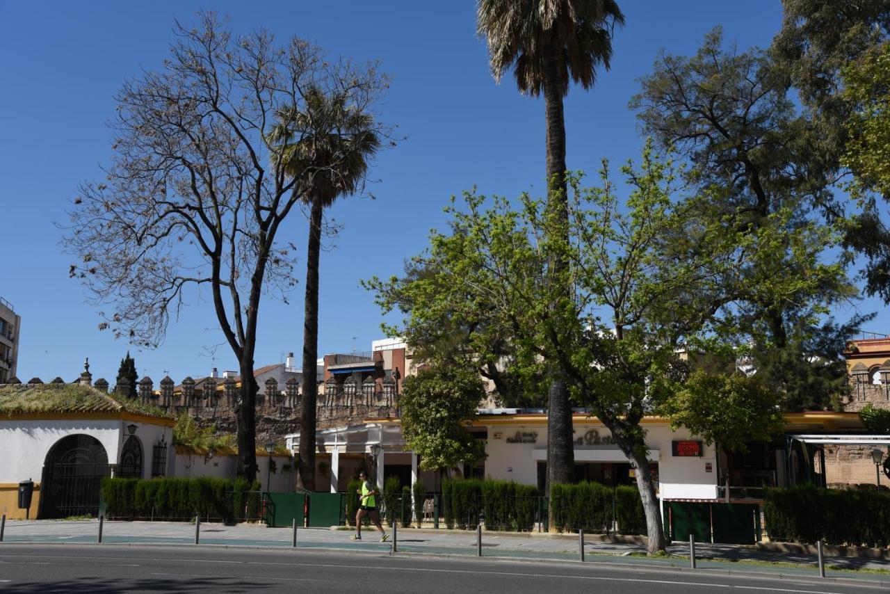 Apartment First Floor Near Macarena Church Seville